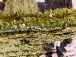 ► Tapete Azilal AZ-7 - Tapete 1.5x2 m., Tapete 150x200 cm