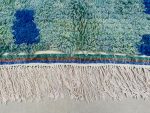 ► Tapete Azilal AZ-89 - Tapete 2x3 m., Tapete 200x300 cm